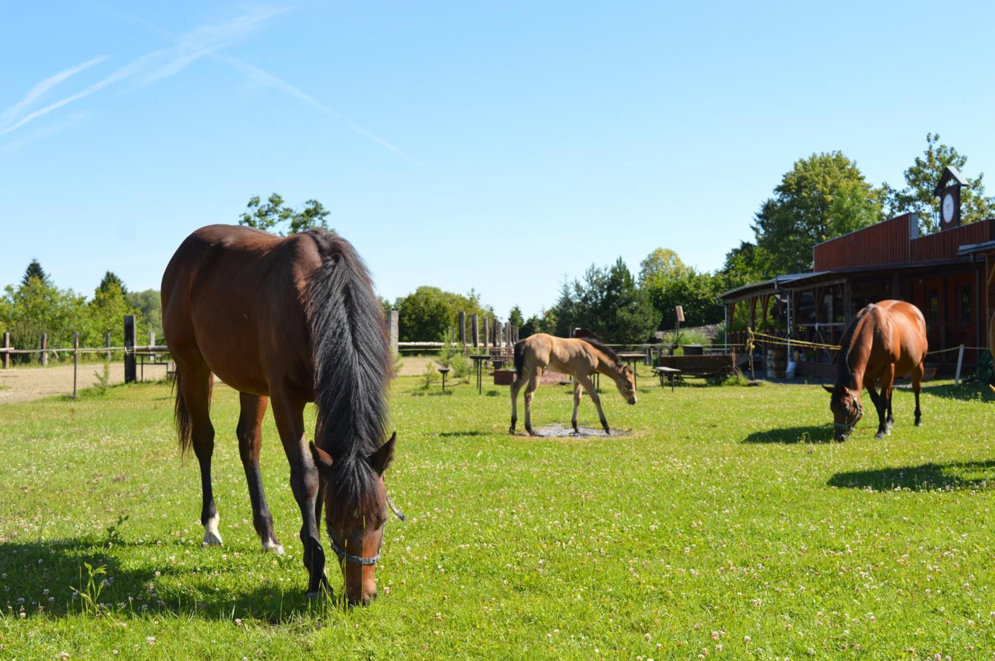 Bubla City Ranch Kopřivnice Exteriör bild